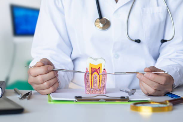 Best Emergency Cosmetic Dentistry (e.g., broken veneers) in Homestead Valley, CA